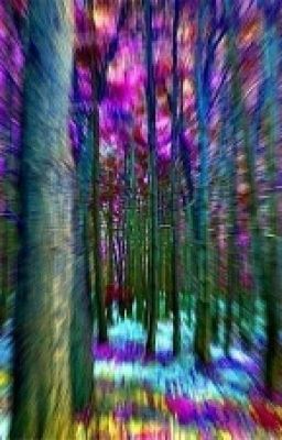 Однажды я гулял по лесу