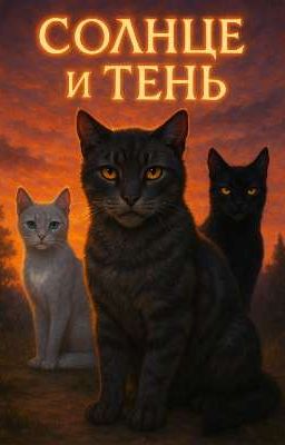 Солнце и Тень. Коты Воители 