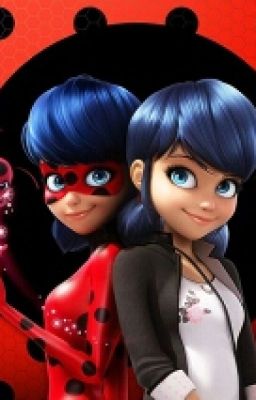 Мне Отчаяться, Кот?