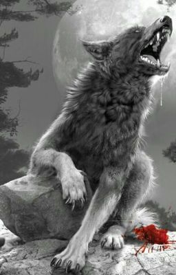 Необычная Лига