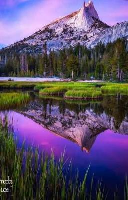 письма потерянной мечты 