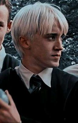 Сестра Поттера 