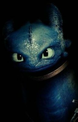 Драконы и Всадники Олуха