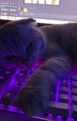 Запутанная история