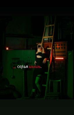 серая мышь.