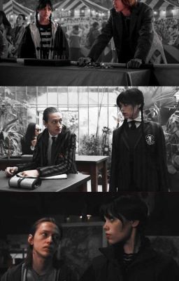 Два детектива 