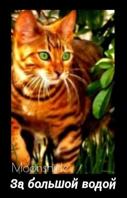 За Большой Водой 