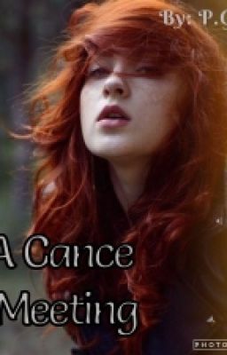 Случайная встреча.