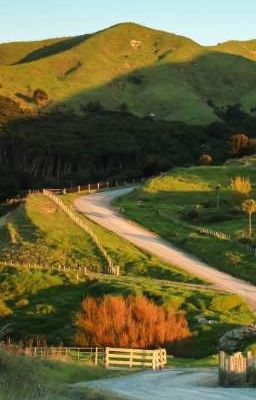 В поисках смысла жизни