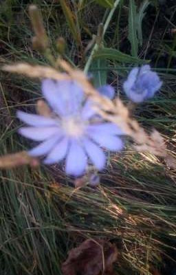 из серой мышки в малышку 