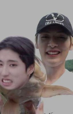 Обычный день Минхо