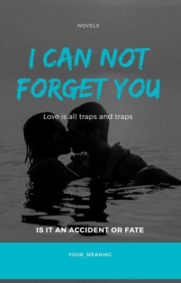 I Can Not Forget You