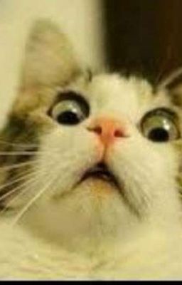 Улыбайся как придурок