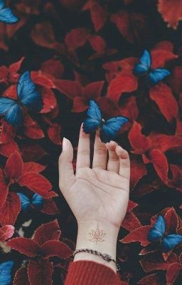 Влюбляются не в прохожих 