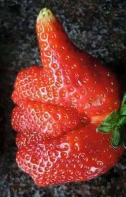 Попаня ПрекраснаЯ  (Анальные графффитИ)