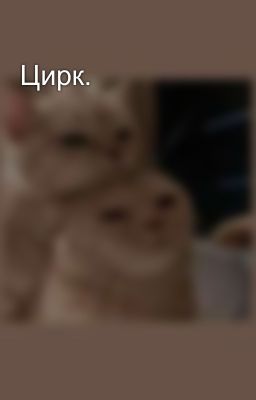 Цирк.