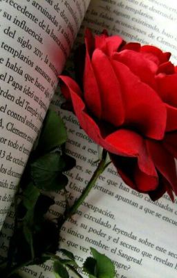 Сентенция "Как общаться с ней?"