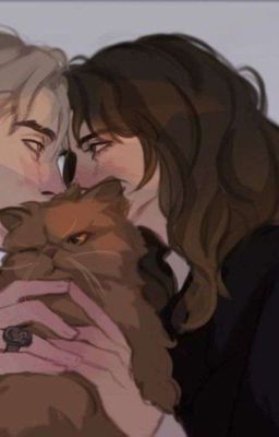 Сломанный дракон 