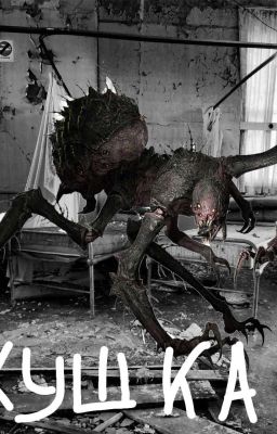 Личный дневник из псих больницы