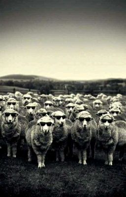 Норкота+Мы=ЭТО 2 часть