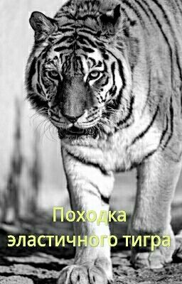 Походка Эластичного Тигра  