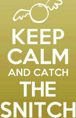 Интернет в Ховартсе ( ● - ● )