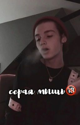 серая мышь🔞