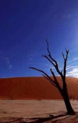 Лес ползучих