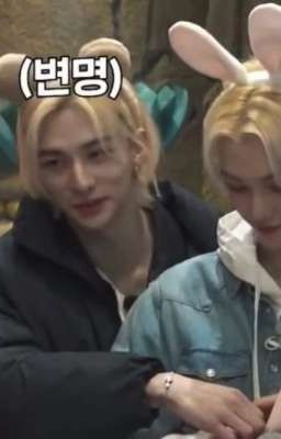 сводные братья(хенликсы)