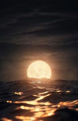 Лунный свет ярок 