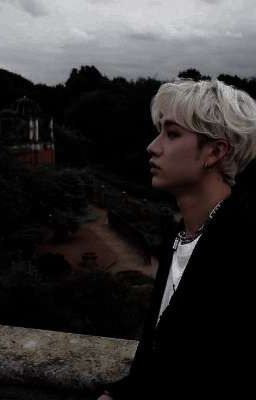 лето, звезды и мы с тобой 