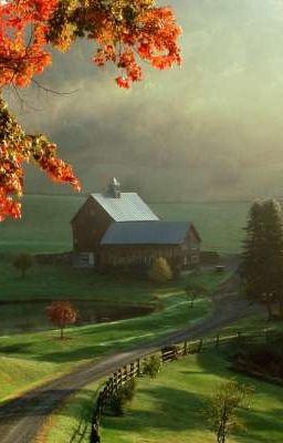 Сборник коротких рассказов.