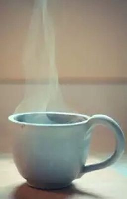 Жизнь, свет и кружка чая