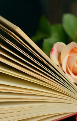 Повесть, которую никто не прочтёт...