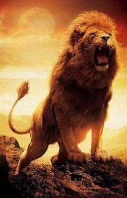 Кайон - Великий лев. 