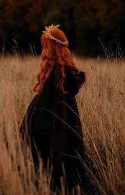 Сердце времени 