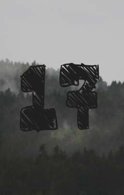 •|Оцениваю ФФ|•