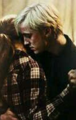 А я вас шипперю!