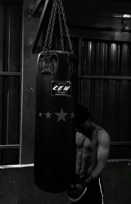 СВЕТ и ТЕНЬ🌓