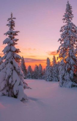 Рождество с тобой