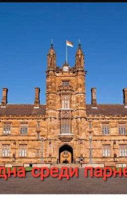 Одна среди парней