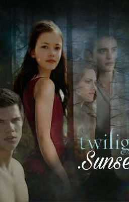 Сумерки.Закат