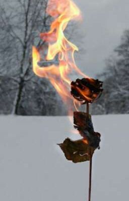 моя жизнь💔