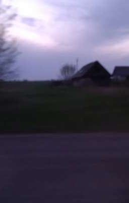 Поездка в деревню