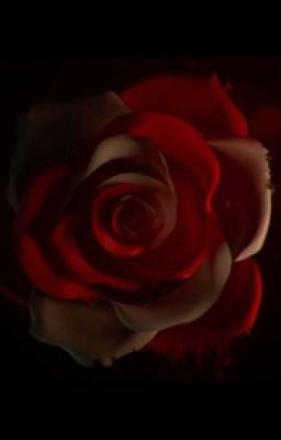 Академия Вампиров И Оборотней "ψ(｀∇')ψ