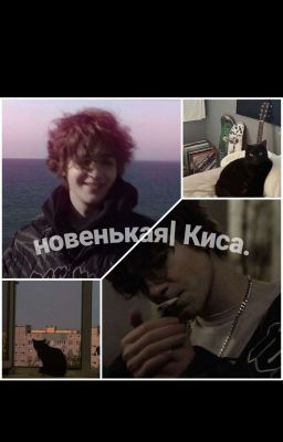 новенькая? | Киса