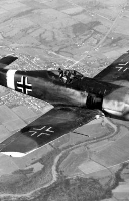 Дневник военного летчика