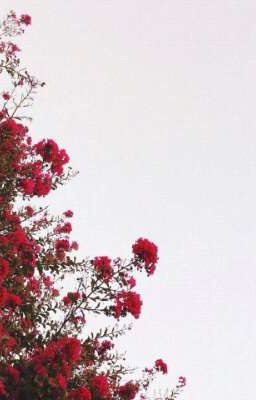 Не то, что я больше не люблю, нет. 