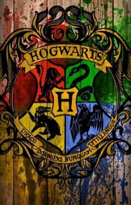 Приключения в Дурмстранге и Хогвартсе