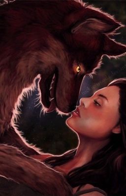 Любовь волка 